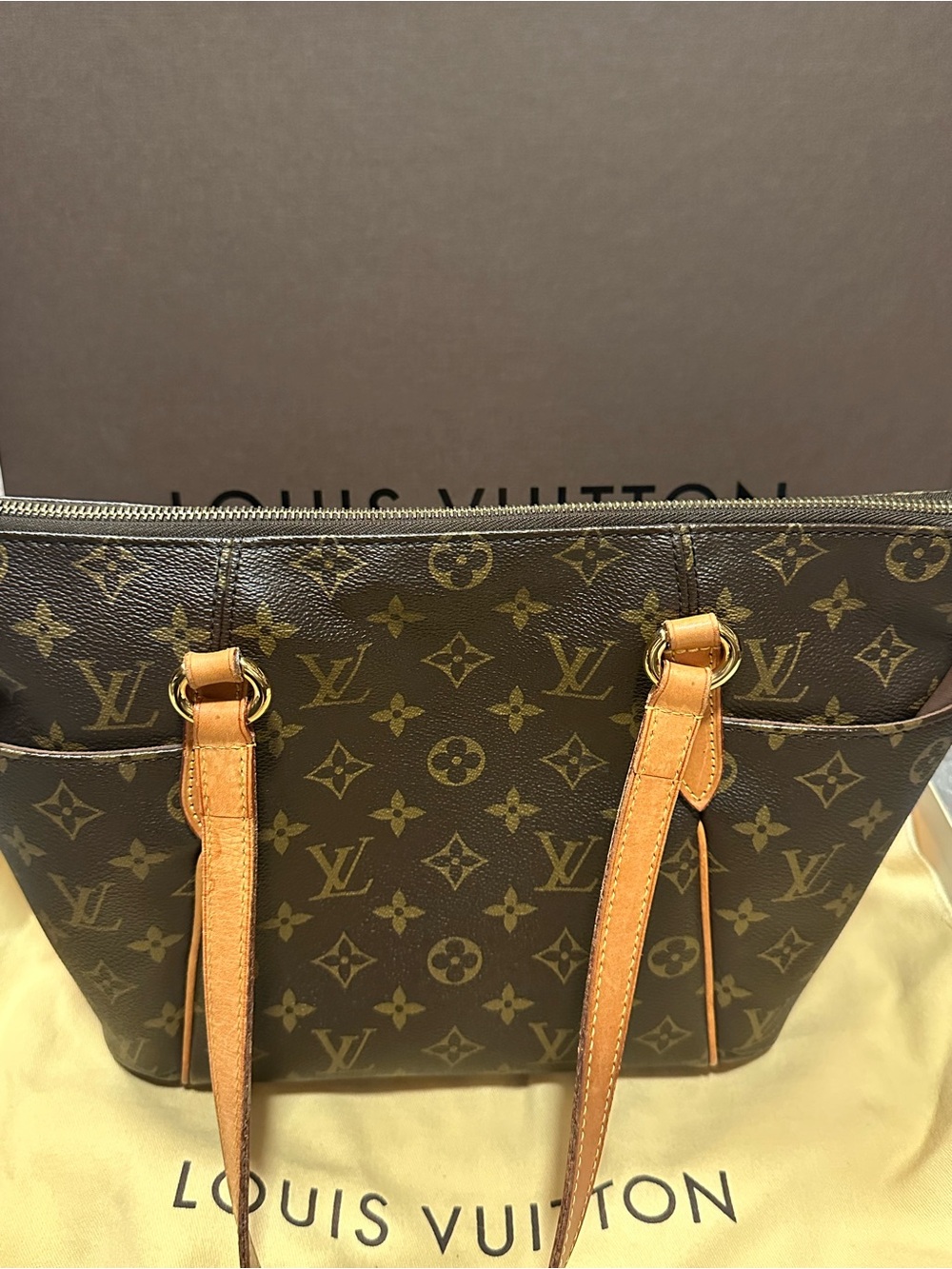 Louis Vuitton Totally PM - Authentic